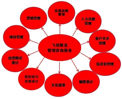 管理咨詢服務哪家強？專業信息咨詢機構的選擇與考量